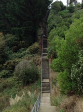 The upper part of the Tamaki steps